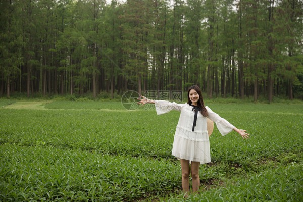 古韵茶香，杭州这些地方让人沉醉忘返